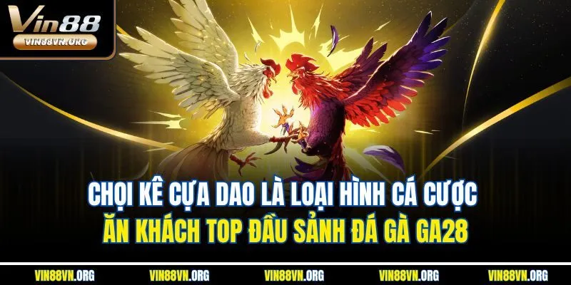 Sảnh Đá Gà GA28 - Nền Tảng Chọi Kê Trực Tuyến Số 1 VIN88 - HARMONY88.SURF