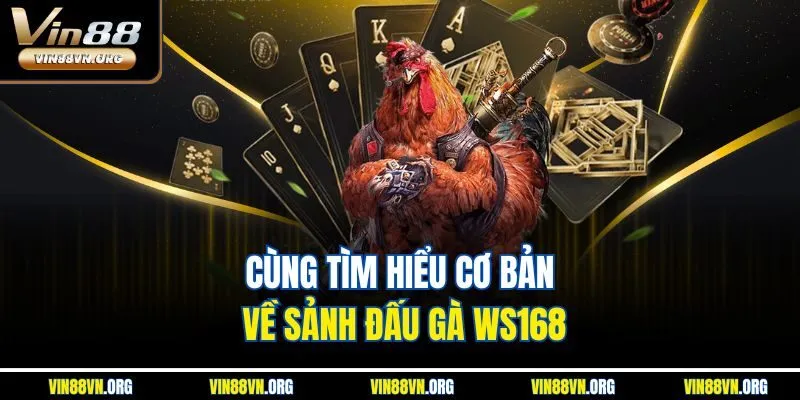 Đá Gà WS168 – Sảnh Chơi Giải Trí Đỉnh Cao Tại Vin88 - HARMONY88.SURF