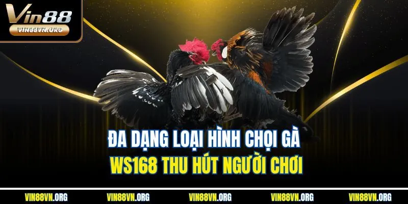Đá Gà WS168 – Sảnh Chơi Giải Trí Đỉnh Cao Tại Vin88 - HARMONY88.SURF