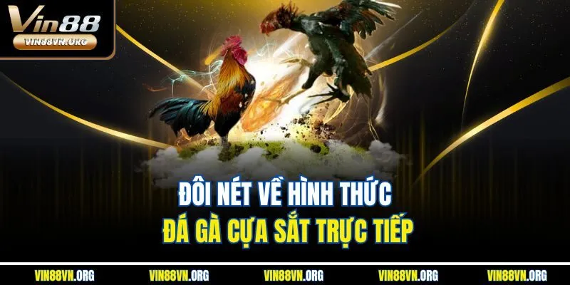Đá Gà Cựa Sắt | Hình Thức Chọi Kê Trực Tuyến Đặc Sắc 2026 - HARMONY88.SURF