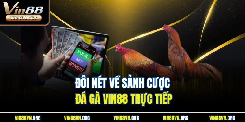 Đá Gà Vin88 | Sảnh Chọi Kê Trực Tuyến Thú Vị Nhất 2026 - HARMONY88.SURF