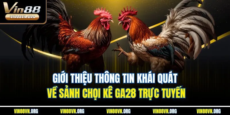 Sảnh Đá Gà GA28 - Nền Tảng Chọi Kê Trực Tuyến Số 1 VIN88 - HARMONY88.SURF