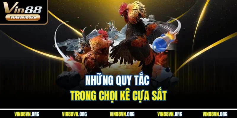 Đá Gà Cựa Sắt | Hình Thức Chọi Kê Trực Tuyến Đặc Sắc 2026 - HARMONY88.SURF