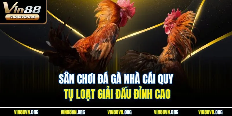 Đá Gà Vin88 | Sảnh Chọi Kê Trực Tuyến Thú Vị Nhất 2026 - HARMONY88.SURF