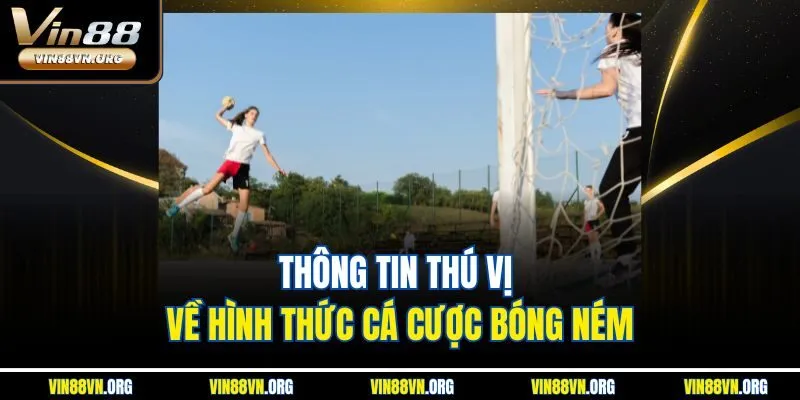 Cá Cược Bóng Ném | Hình Thức Giải Trí Thú Vị Tại Vin88 - HARMONY88.SURF