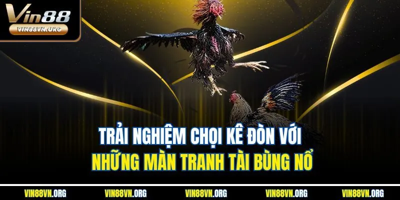 Đá Gà Vin88 | Sảnh Chọi Kê Trực Tuyến Thú Vị Nhất 2026 - HARMONY88.SURF