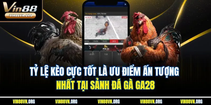 Sảnh Đá Gà GA28 - Nền Tảng Chọi Kê Trực Tuyến Số 1 VIN88 - HARMONY88.SURF